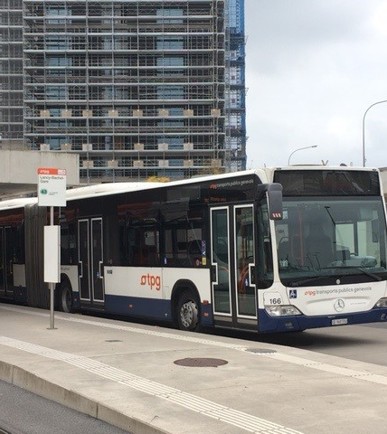 TPG Bus